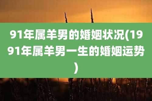 91年属羊男的婚姻状况(1991年属羊男一生的婚姻运势)