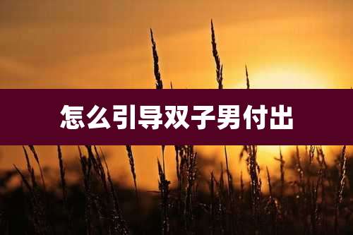 怎么引导双子男付出