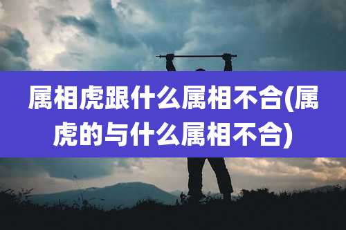 属相虎跟什么属相不合(属虎的与什么属相不合)