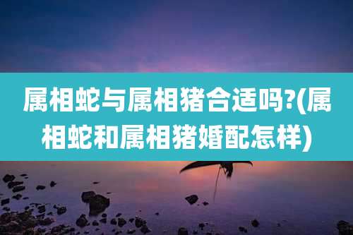 属相蛇与属相猪合适吗?(属相蛇和属相猪婚配怎样)
