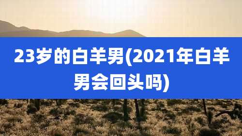 23岁的白羊男(2021年白羊男会回头吗)
