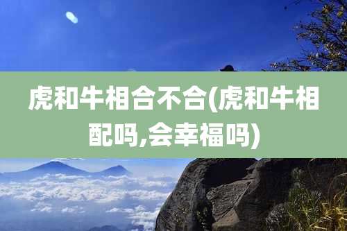 虎和牛相合不合(虎和牛相配吗,会幸福吗)