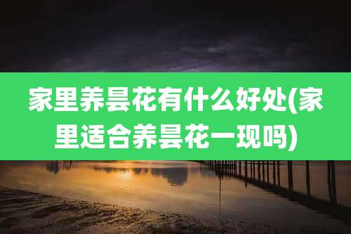 家里养昙花有什么好处(家里适合养昙花一现吗)