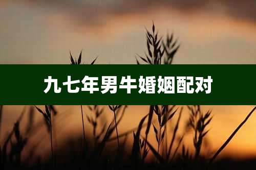 九七年男牛婚姻配对