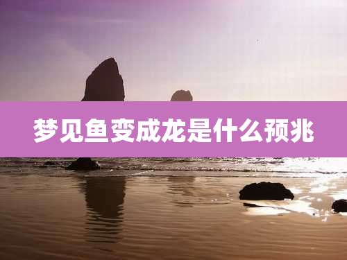 梦见鱼变成龙是什么预兆