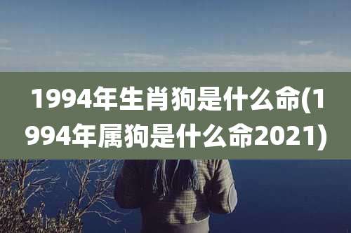 1994年生肖狗是什么命(1994年属狗是什么命2021)