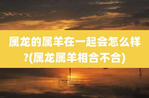 属龙的属羊在一起会怎么样?(属龙属羊相合不合)