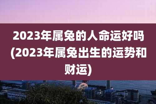 2023年属兔的人命运好吗(2023年属兔出生的运势和财运)