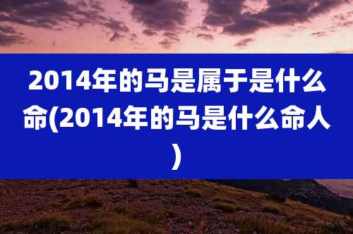 2014年的马是属于是什么命(2014年的马是什么命人)