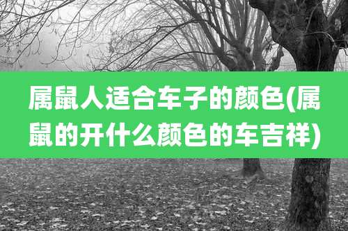 属鼠人适合车子的颜色(属鼠的开什么颜色的车吉祥)
