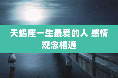 天蝎座一生最爱的人 感情观念相通
