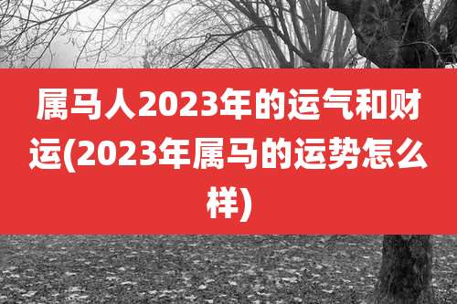 属马人2023年的运气和财运(2023年属马的运势怎么样)