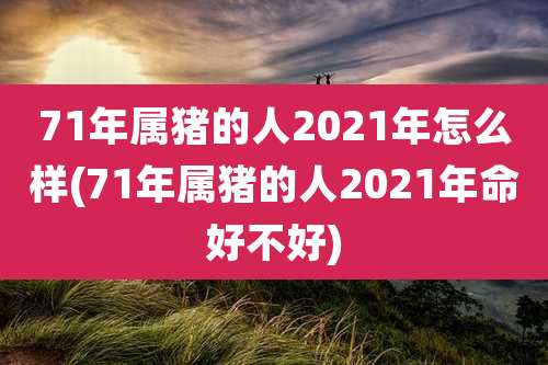 71年属猪的人2021年怎么样(71年属猪的人2021年命好不好)