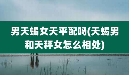 男天蝎女天平配吗(天蝎男和天秤女怎么相处)