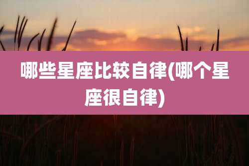 哪些星座比较自律(哪个星座很自律)