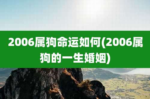 2006属狗命运如何(2006属狗的一生婚姻)