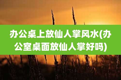 办公桌上放仙人掌风水(办公室桌面放仙人掌好吗)