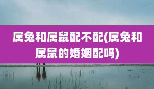 属兔和属鼠配不配(属兔和属鼠的婚姻配吗)