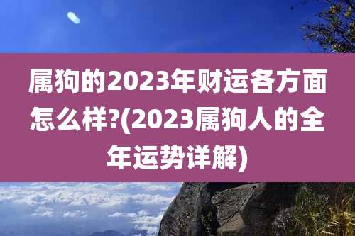 属狗的2023年财运各方面怎么样?(2023属狗人的全年运势详解)