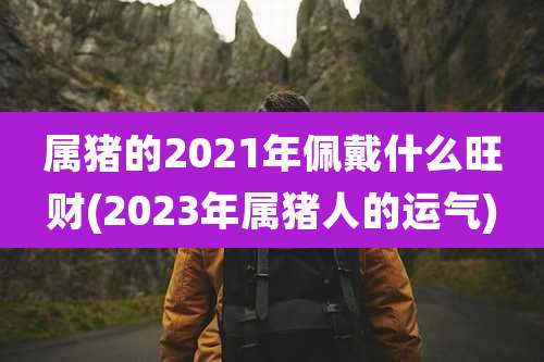 属猪的2021年佩戴什么旺财(2023年属猪人的运气)