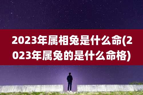 2023年属相兔是什么命(2023年属兔的是什么命格)