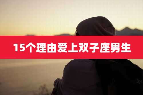 15个理由爱上双子座男生