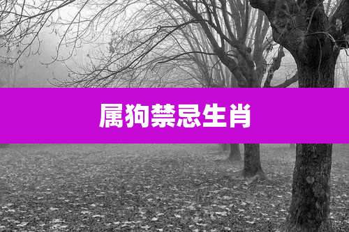 属狗禁忌生肖