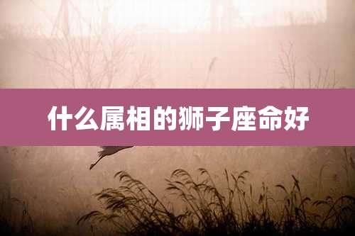 什么属相的狮子座命好