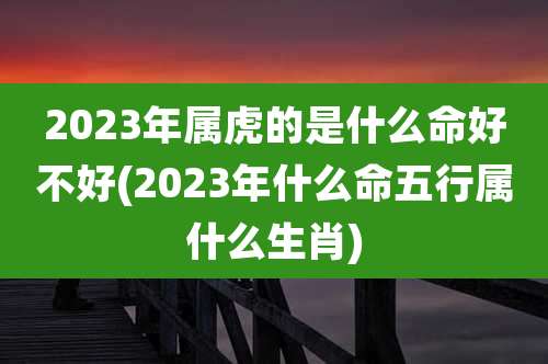 2023年属虎的是什么命好不好(2023年什么命五行属什么生肖)