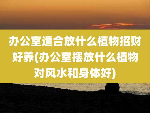 办公室适合放什么植物招财好养(办公室摆放什么植物对风水和身体好)