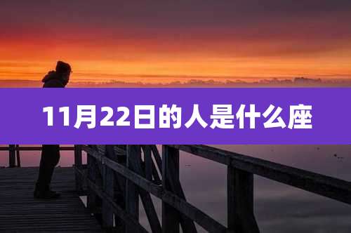 11月22日的人是什么座