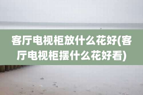 客厅电视柜放什么花好(客厅电视柜摆什么花好看)