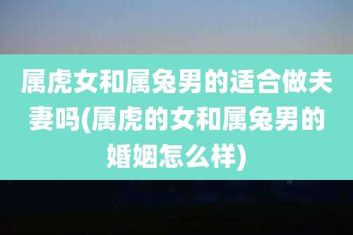 属虎女和属兔男的适合做夫妻吗(属虎的女和属兔男的婚姻怎么样)