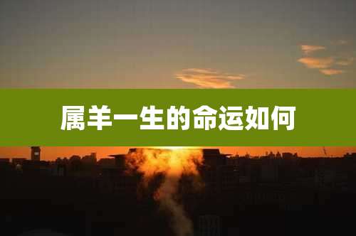 属羊一生的命运如何