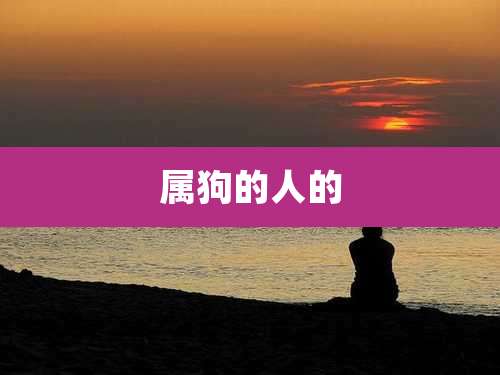 属狗的人的
