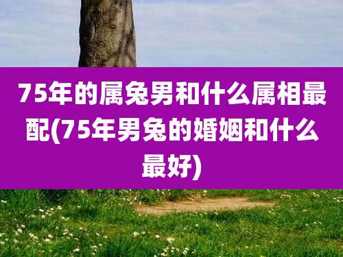 75年的属兔男和什么属相最配(75年男兔的婚姻和什么最好)