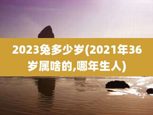 2023兔多少岁(2021年36岁属啥的,哪年生人)