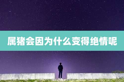 属猪会因为什么变得绝情呢