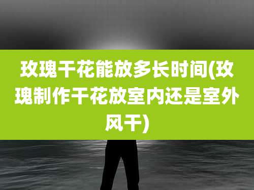 玫瑰干花能放多长时间(玫瑰制作干花放室内还是室外风干)