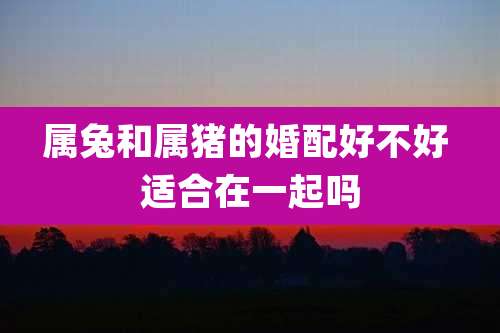 属兔和属猪的婚配好不好 适合在一起吗