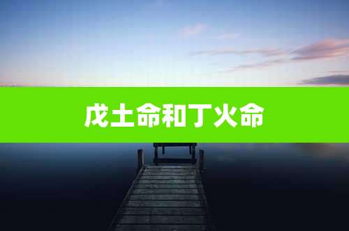 戊土命和丁火命