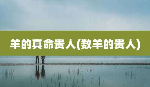 羊的真命贵人(数羊的贵人)