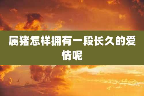 属猪怎样拥有一段长久的爱情呢