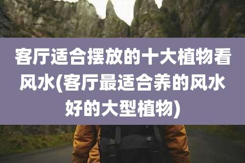 客厅适合摆放的十大植物看风水(客厅最适合养的风水好的大型植物)