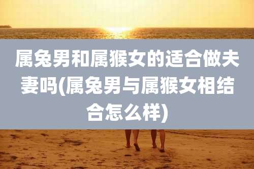 属兔男和属猴女的适合做夫妻吗(属兔男与属猴女相结合怎么样)