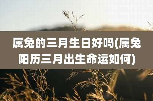 属兔的三月生日好吗(属兔阳历三月出生命运如何)