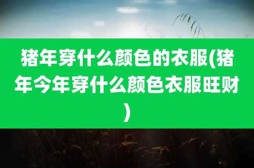 猪年穿什么颜色的衣服(猪年今年穿什么颜色衣服旺财)
