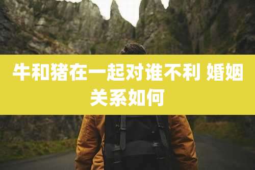 牛和猪在一起对谁不利 婚姻关系如何
