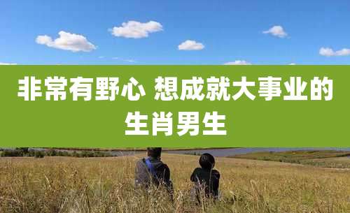 非常有野心 想成就大事业的生肖男生