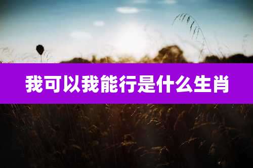 我可以我能行是什么生肖